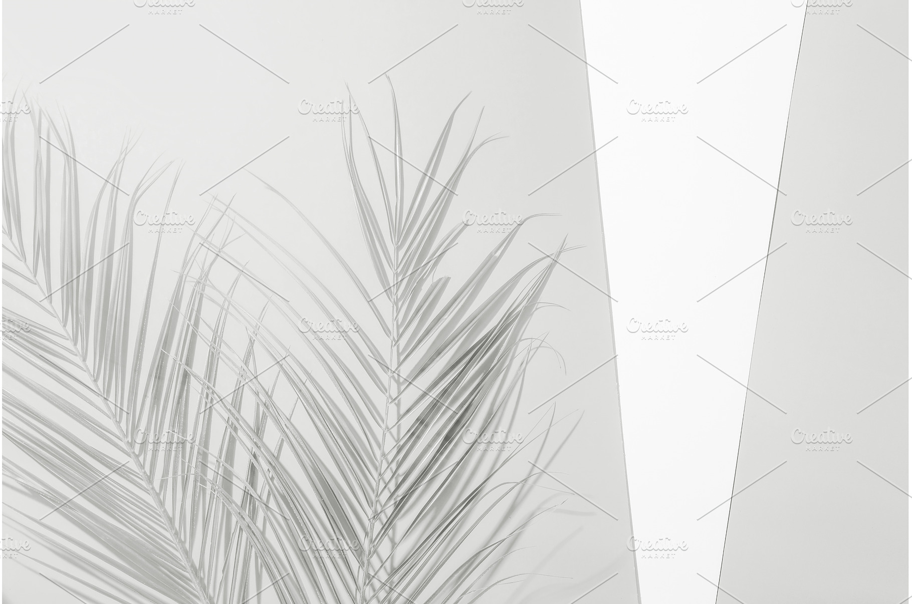 Palm branches casting shadow on, an Abstract Photo by Anna Efetova