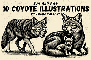 Retro Coyote Drawings Bundle SVG PNG, an Animal Illustration by Ray Crimson
