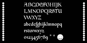 WT Mediaeval, a Serif Font by Wraith Types (Thumbnail 3 of 7)