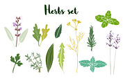 Herbs set, a Food Illustration by Tabita's shop (Thumbnail 4 of 5)