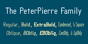 PeterPierre, a Sans Serif Font by Ingrimayne Type (Thumbnail 3 of 6)