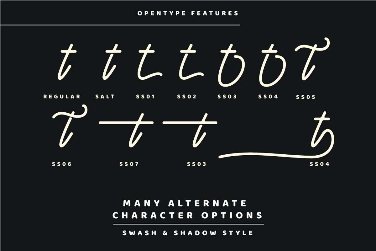 Orchestra Script - Monoline Typeface preview 7