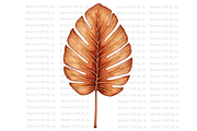 Dried Palm Leaves, a Decorative Illustration by Bloom Craft Creations (Thumbnail 4 of 10)