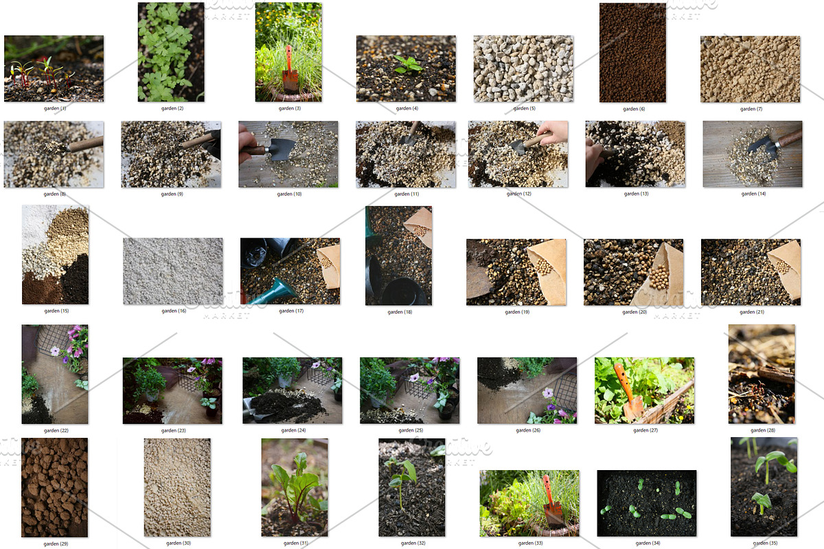 40 Gardening Backgrounds, a Nature Photo by Pullia (Photo 2 of 6)