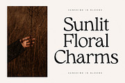 Qimano Modern Humanist Serif, a Serif Font by Letterena Studios (Thumbnail 11 of 15)