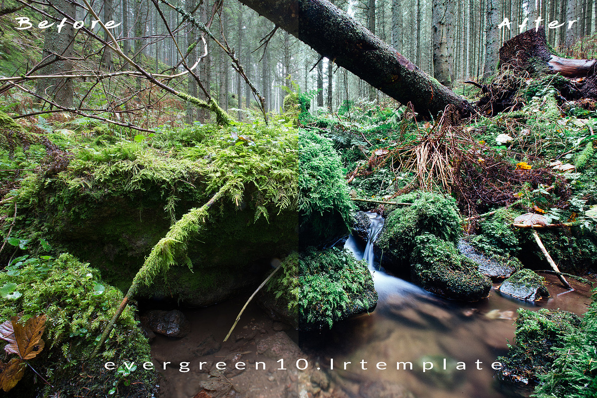 Ever Green 10 Lightroom Presets., an Action Add-On by MorningStar (Photo 6 of 11)