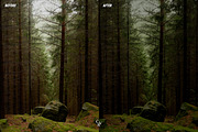 Cinematic Greens Lightroom Presets, a Preset Add-On by CVR Presets (Thumbnail 6 of 6)