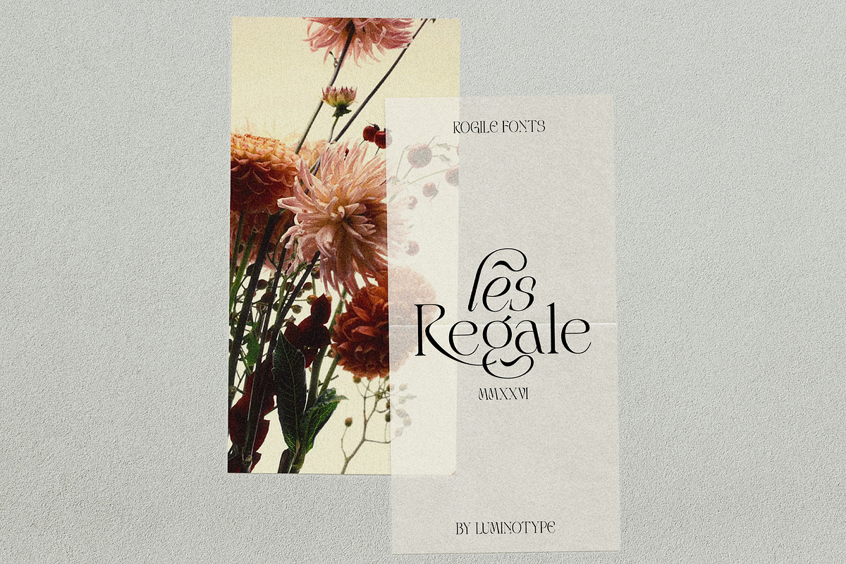 LT Rogile - Modern Serif Typeface, a Serif Font by Luminotype (Photo 11 of 20)