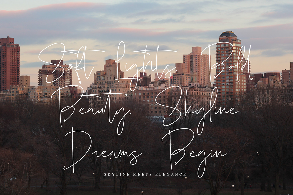 Skalinyas, a Script Font by operatype.co (Photo 12 of 15)