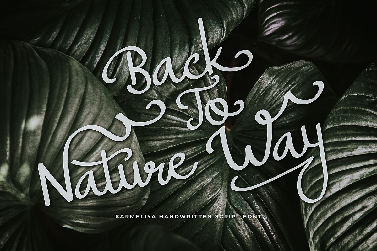 Karmeliya a Handwritten Script Font, a Script Font by Dawnside Graphic (Photo 2 of 13)