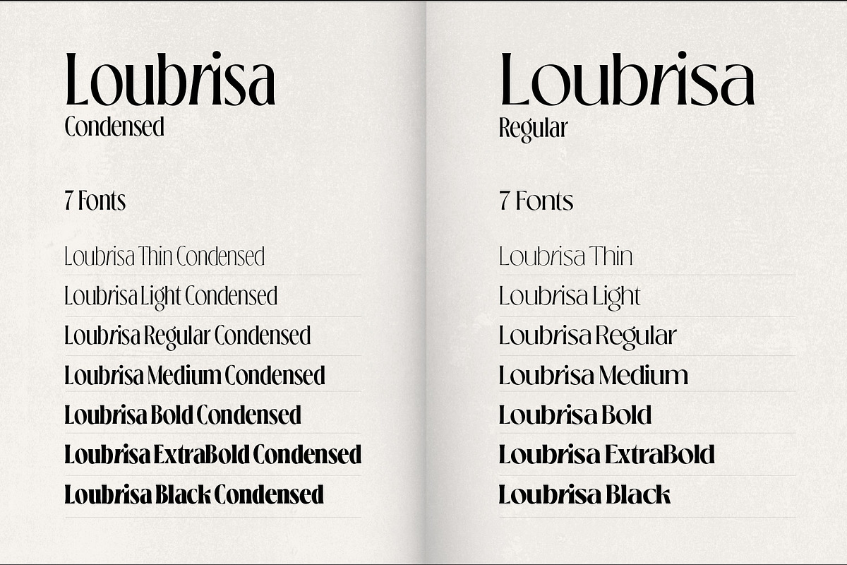 Loubrisa - Playful Branding Fonts, a Serif Font by creativemedialab (Photo 12 of 13)