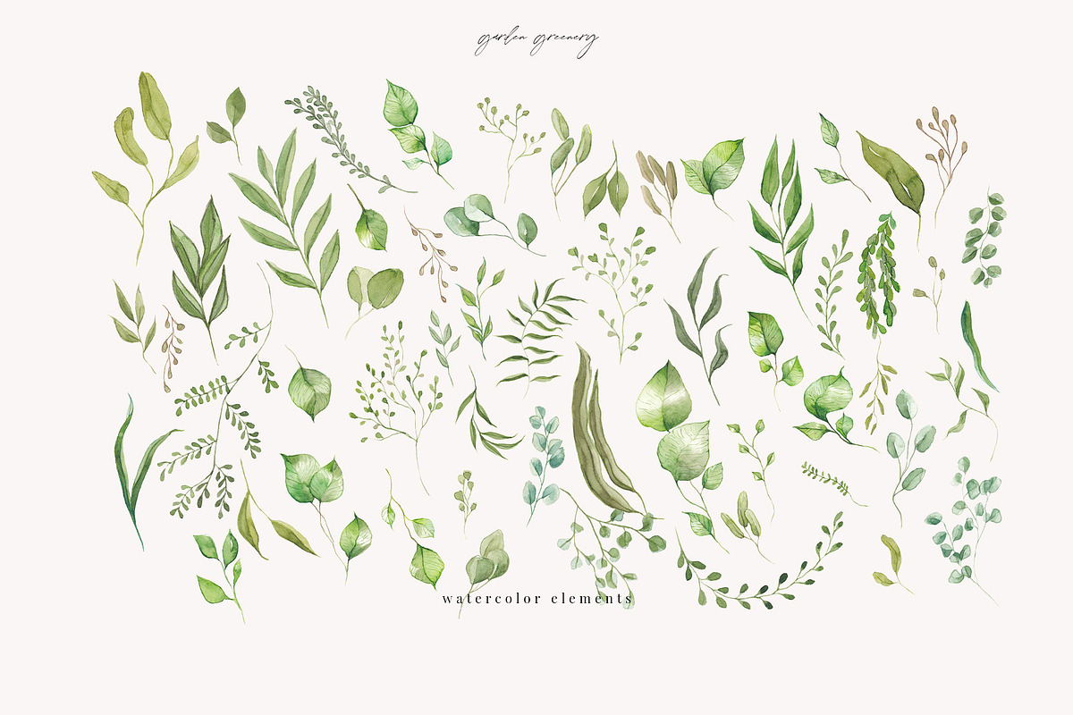 Line Art & Watercolour Greenery, an Illustration by January Bloom (Photo 19 of 22)