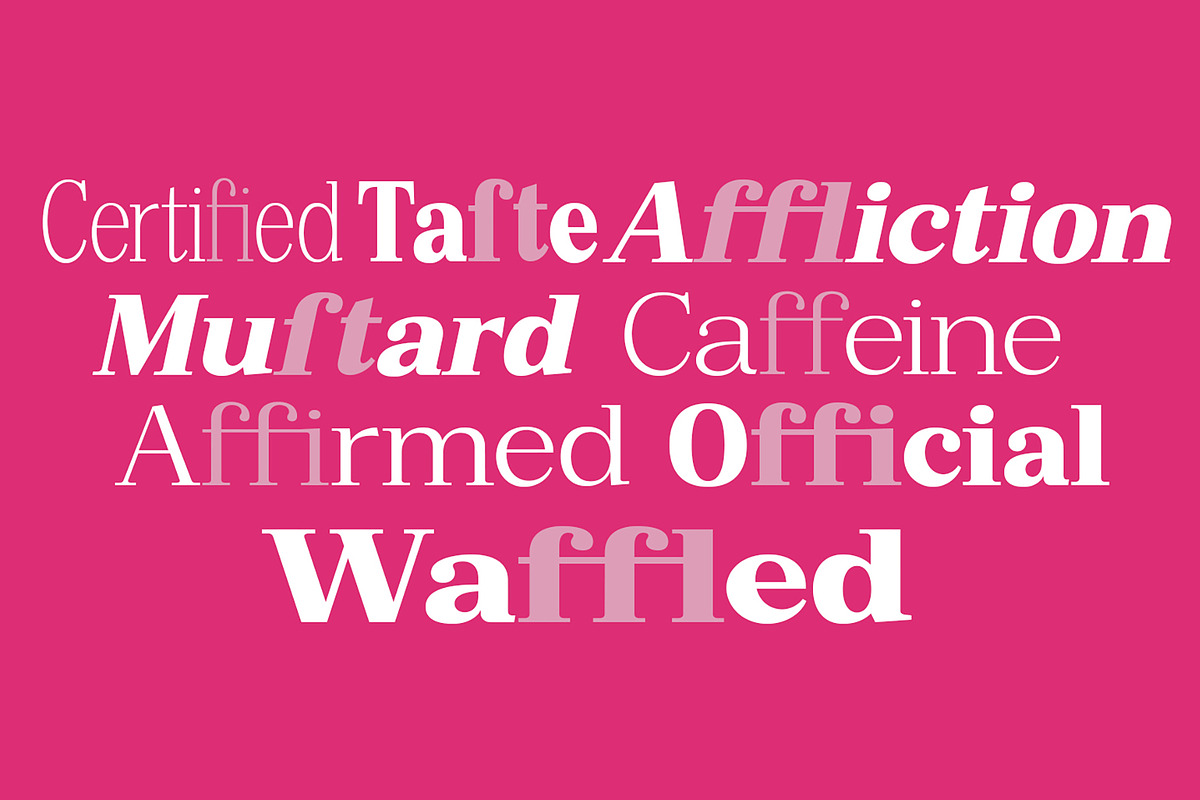 Bruchey Serif, a Serif Font by Fargun Studio (Photo 14 of 15)