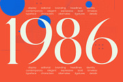 Calimurnia Collection Modern Display, a Serif Font by timelesstype.co (Thumbnail 7 of 10)