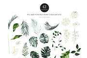 OASIS green - Wedding clipart, an Illustration by Beigetime (Thumbnail 6 of 11)