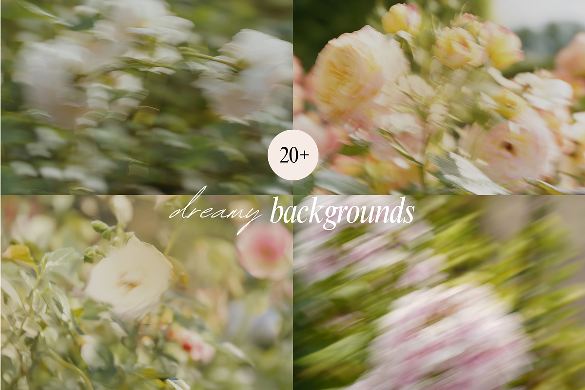 Delicate Blurry Floral Backgrounds, a Background Graphic by eclosque (Photo 3 of 31)