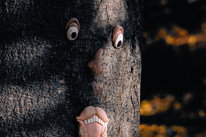 Tree Face, an Arts & Entertainment Photo by jakub_kopecky