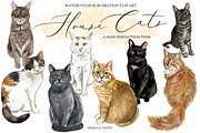 Cat Illustrations Watercolor Clipart, an Animal Illustration by Maria B. Paints (Thumbnail 1 of 2)
