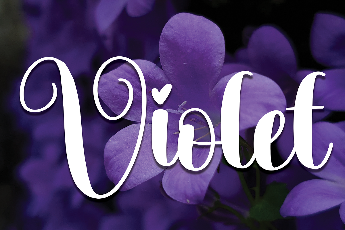 Violet | Script Font, a Script Font by Scratchones (Photo 1 of 8)