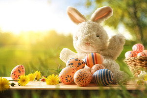 Easter Bunny with Colorful Eggs Outdoors, a Holiday Photo by Davizro's Market