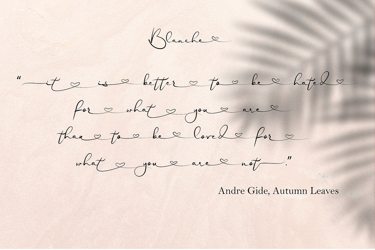 Blanche - Signature Font, a Script Font by erlosDESIGN (Photo 2 of 15)