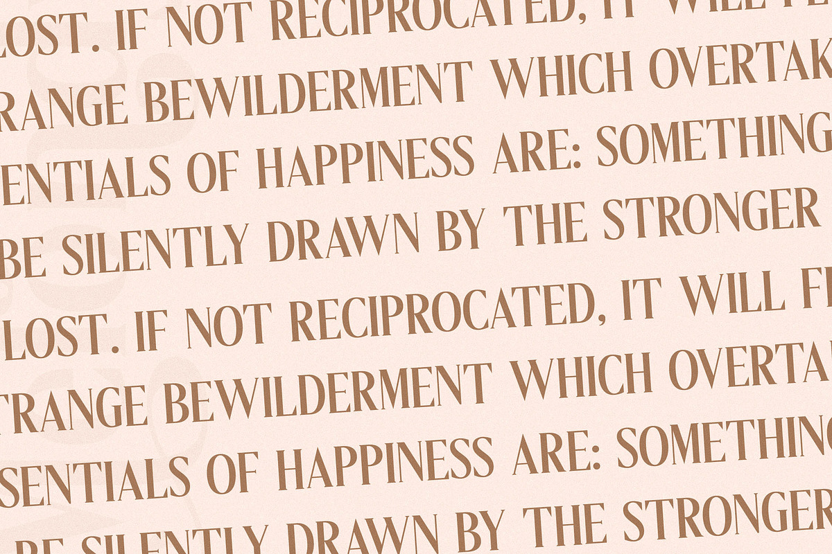 Melondy Modern Stylish Serif, a Serif Font by Storytype Studio (Photo 9 of 15)