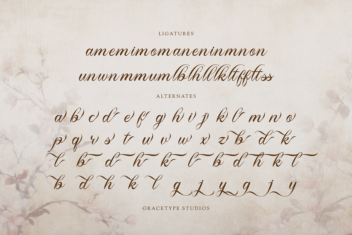 Royallique | Classic Calligraphy, a Script Font by gracetype_studio (Photo 12 of 12)