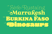 65% OFF Naiche Font Family, a Serif Font by Sundance Tipografia (Thumbnail 9 of 15)