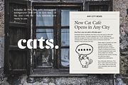 CATS: Naive Vector Cat Illustrations, an Animal Illustration by Veyla (Thumbnail 5 of 11)