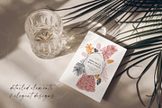 Dried Fruit set. Vector healthy food, a Food Illustration by Yevheniia (Thumbnail 2 of 8)