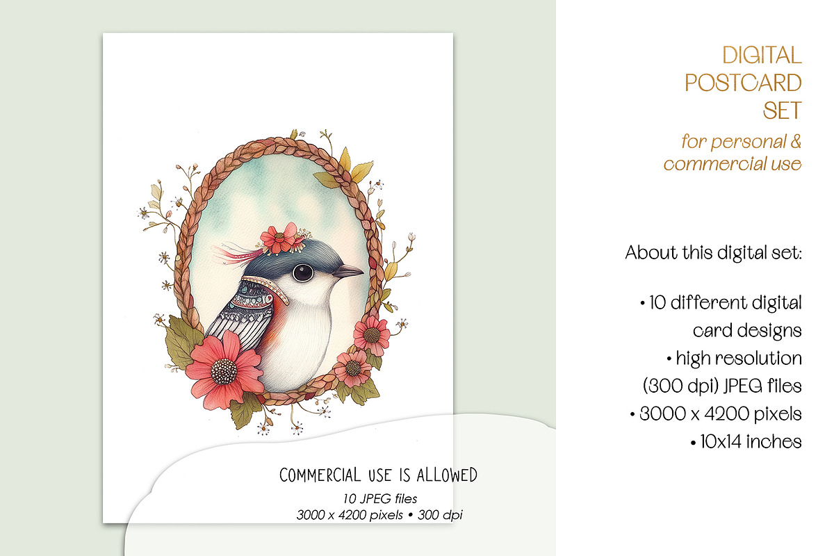 Bird Portraits Postcard Art Set, an Animal Illustration by The Dutch Lady Designs (Photo 2 of 5)