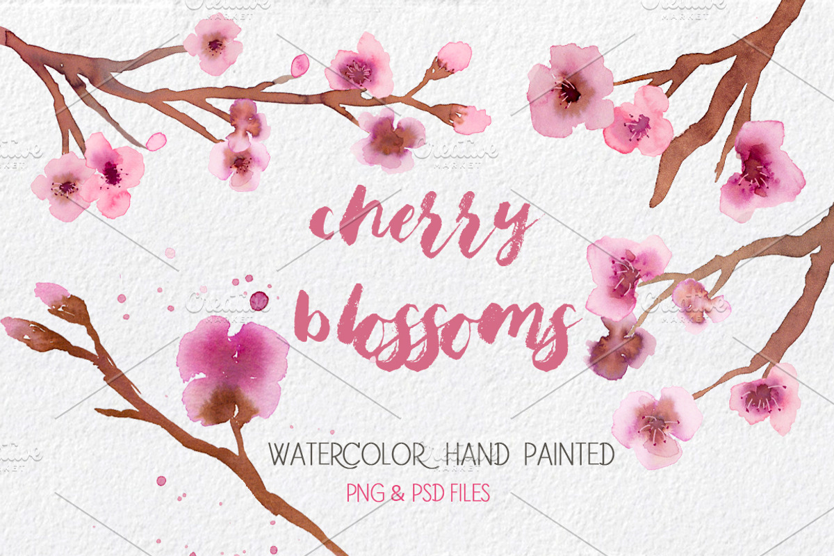 Cherry Blossoms- Watercolor clipart, an Illustration by MaraquelaStudio (Photo 1 of 7)