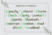 Burgile Happy Sans Serif Font, a Font by AuthenType (Thumbnail 5 of 10)