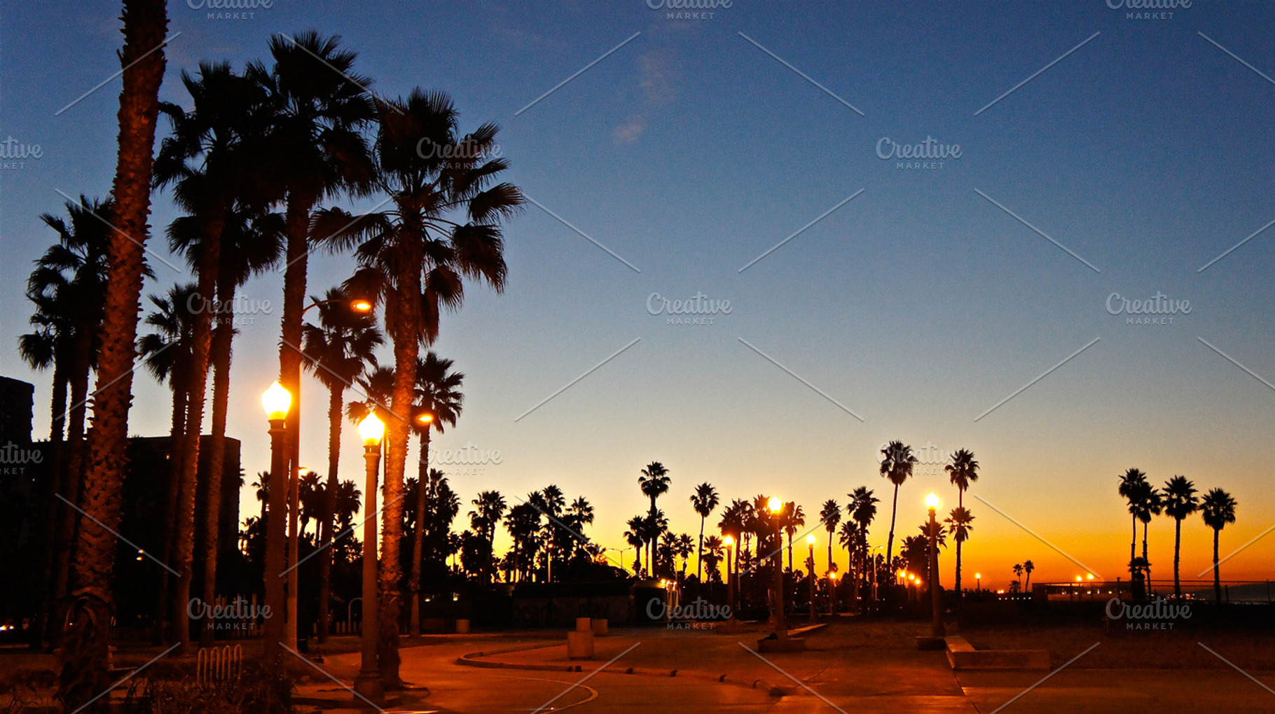 Palm Trees In The Sunrise Lights Stock Photo Containing Sunrise And Blue
