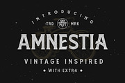 Amnestia Typeface with Extra, a Serif Font by Arterfak Project (Thumbnail 1 of 16)