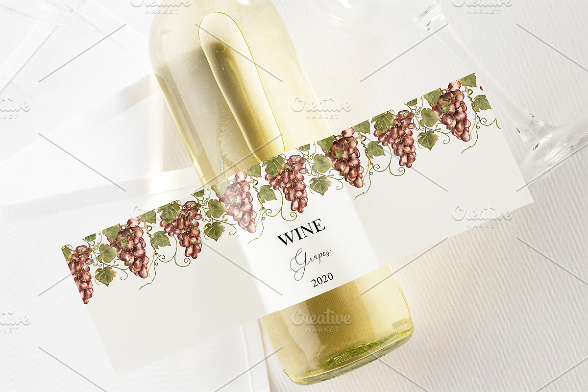 Watercolor Grapes Collection, a Decorative Illustration by MayaNavits (Photo 4 of 9)