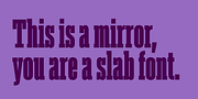 Akkordeon Slab, a Slab Serif Font by Emtype Foundry (Thumbnail 8 of 9)