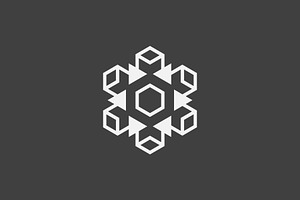 Simple And Elegant Snowflake Logo