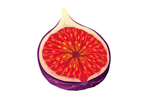 Fig Fruit Cut with Thin Skin and, a Food Illustration by the8monkey