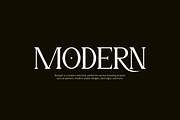Rostyah - Elegant Serif Font, a Serif Font by Iqsiart Studio (Thumbnail 3 of 8)