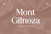 Mont Glinoza Modern Serif Font, a Serif Font by UICreative (Thumbnail 1 of 14)