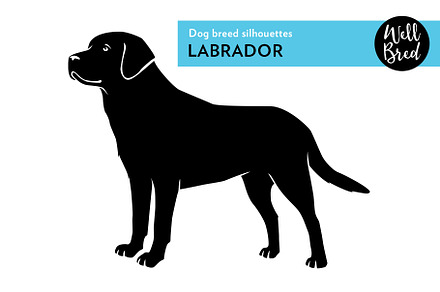 Labrador Retriever Vector Silhouette