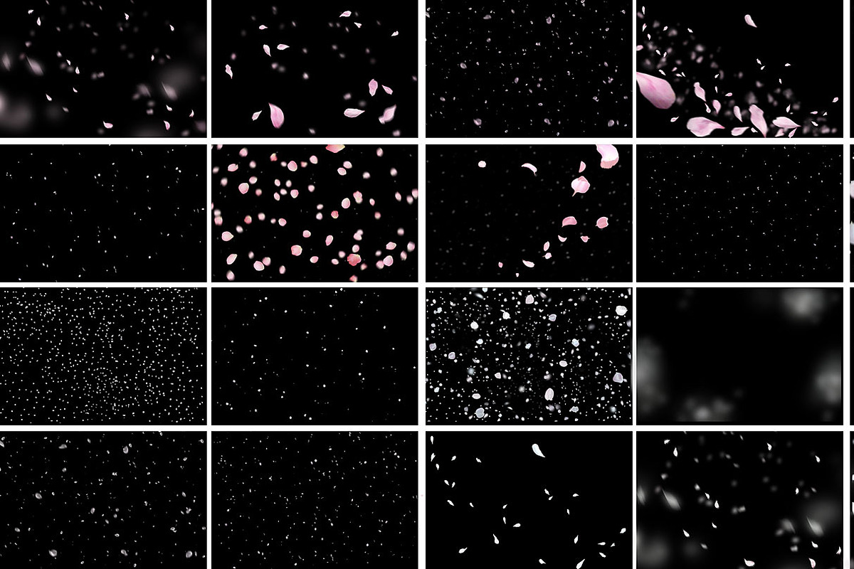 White and Pink Petals Overlays preview 5