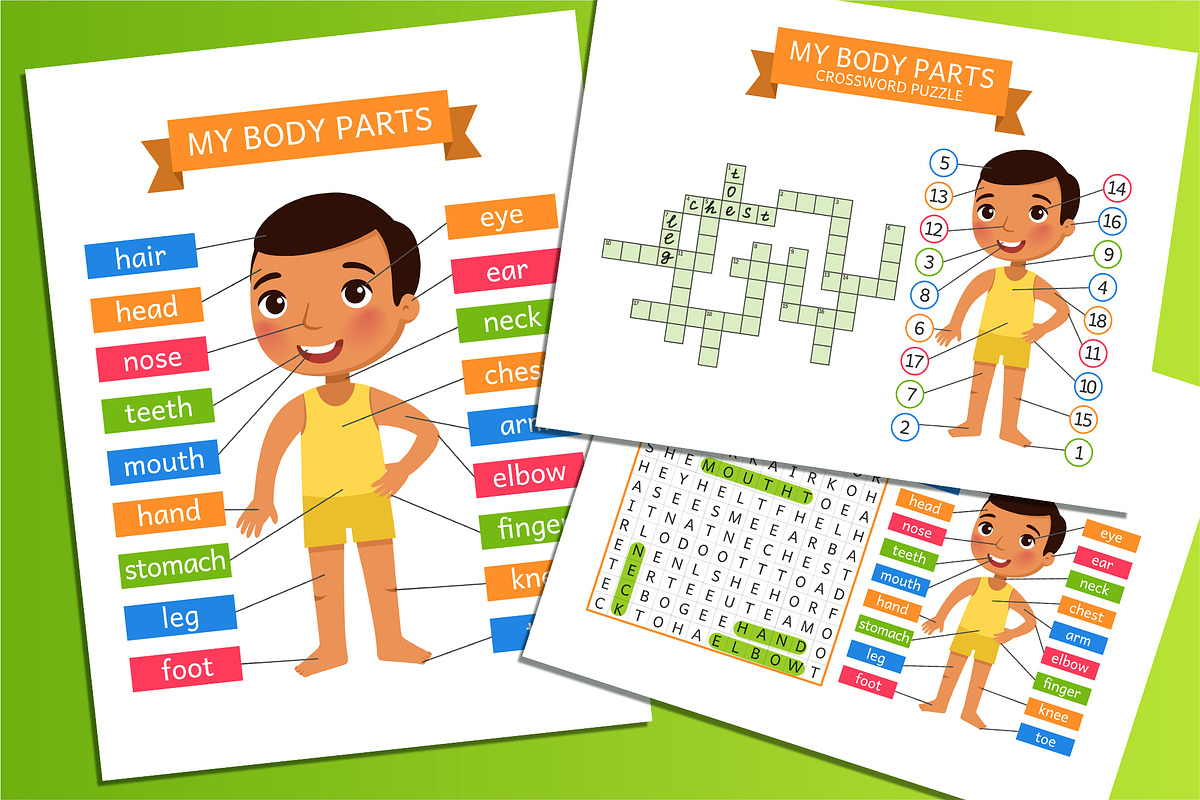 My Body Parts. Educational Flashcard, an Education Illustration by Valin Malin (Photo 1 of 7)