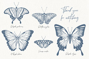 Wings in Ink. Vector Butterflies, an Object Graphic by PenguinArtStudio (Thumbnail 6 of 6)