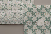 Watercolor White Rose Collection, an Object Illustration by bloomscape (Thumbnail 6 of 13)