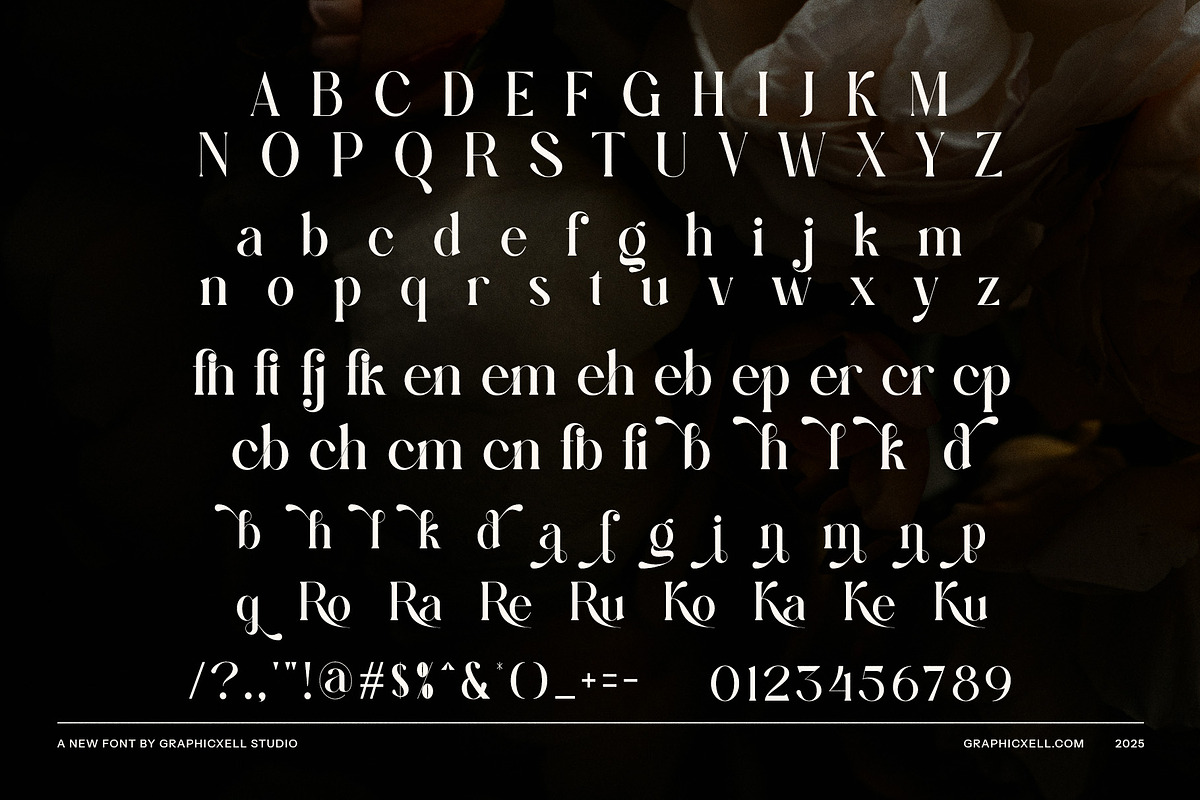 Figken Elegant Serif Font, a Serif Font by Graphicxell (Photo 8 of 8)