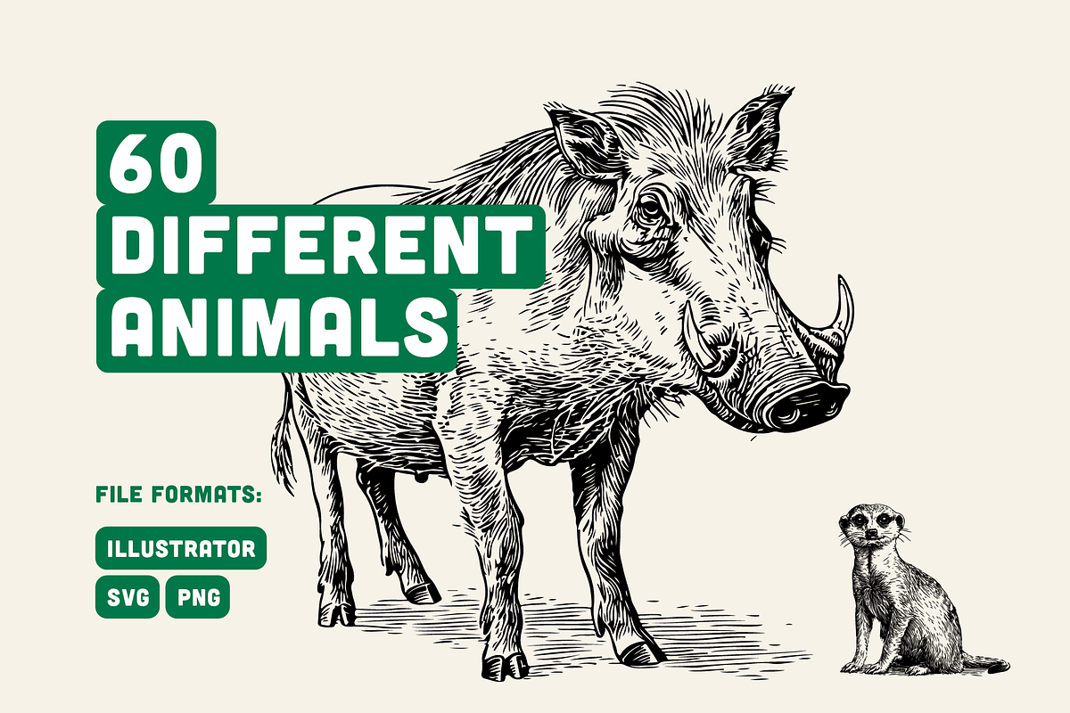 60 Wildlife Animal Illustrations, an Animal Illustration by Vectorian (Photo 3 of 6)