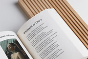 Reyka - Stylish Display Serif, a Serif Font by Hakara Type (Thumbnail 3 of 9)
