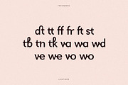 Freshwost Ligatures Sans Serif Font, a Sans Serif Font by Storytype Studio (Thumbnail 17 of 19)